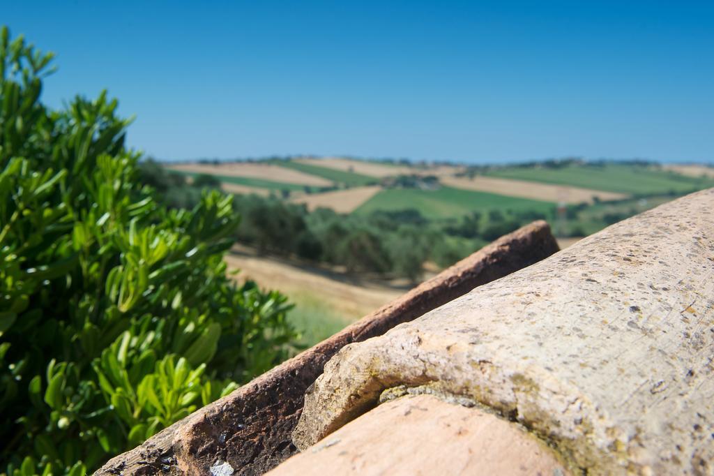 Apartamento Poggio Antico Monte San Vito Exterior foto